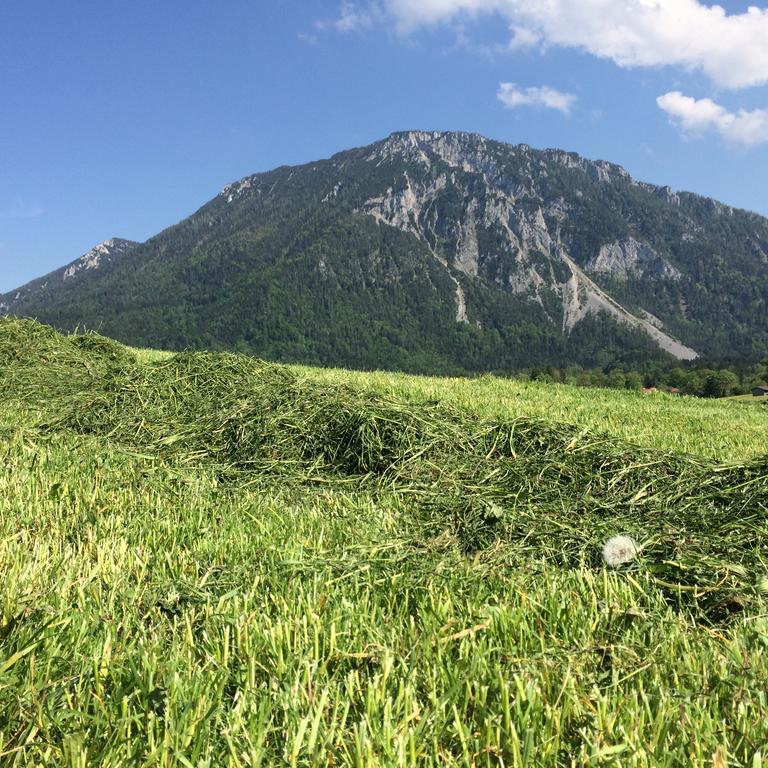 Schifterhof Ruhpolding Villa Dış mekan fotoğraf